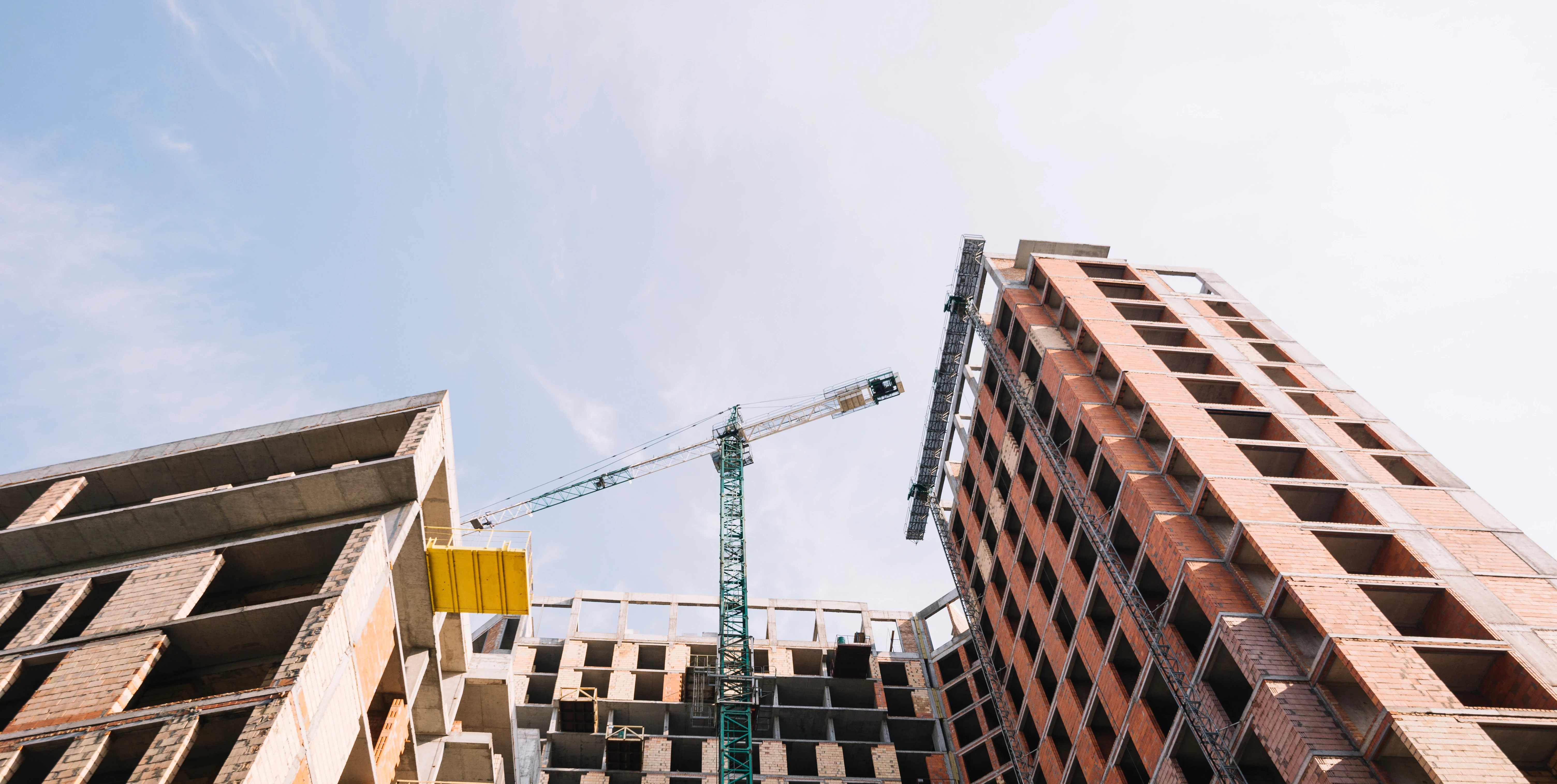 About Halo Group Africa Main Image